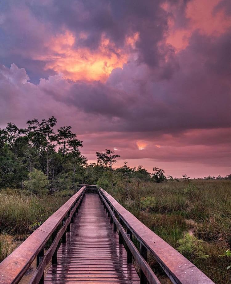 Picturesque sun set in Everglades National Park