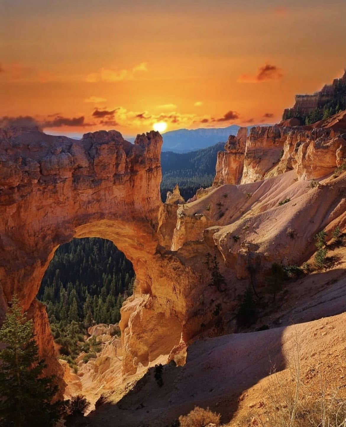 Bright skies in Bryce Canyon, Utah