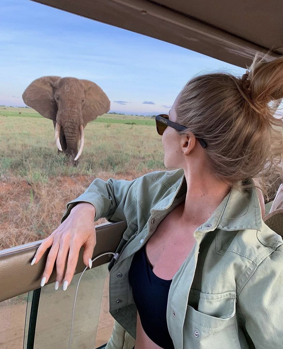 Viewing a large African elephant from a safari vehicle in Kenya