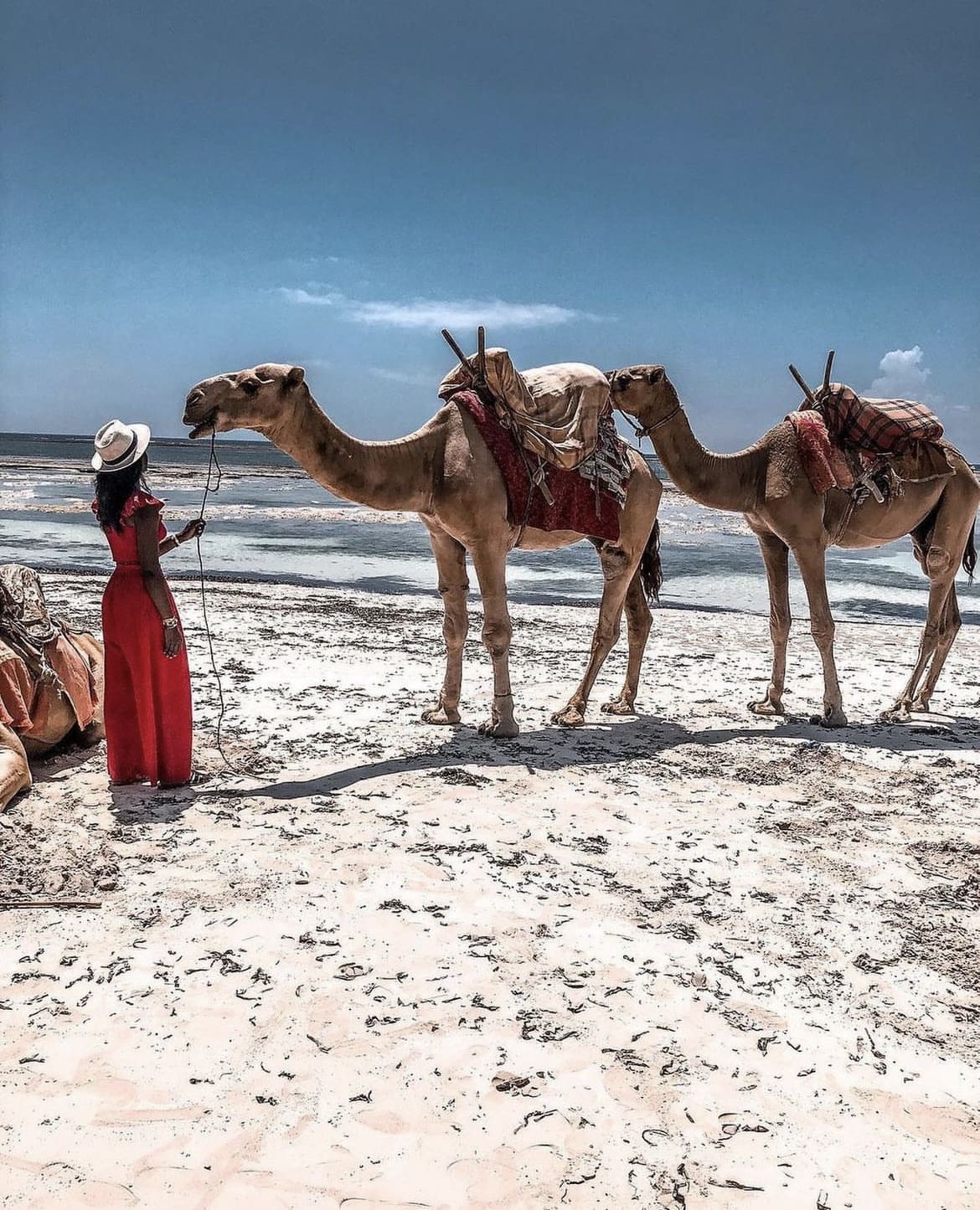 Riding camels on the beach in Kenya