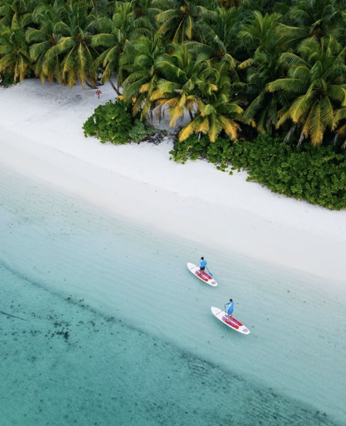 Paddleboarding along the beach