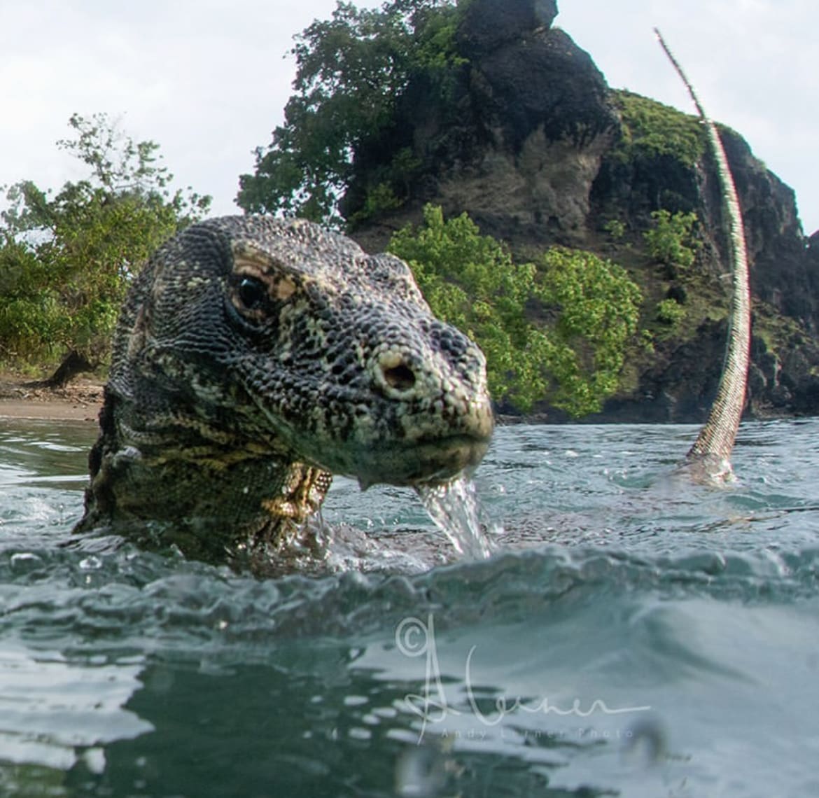 Komodo National Park