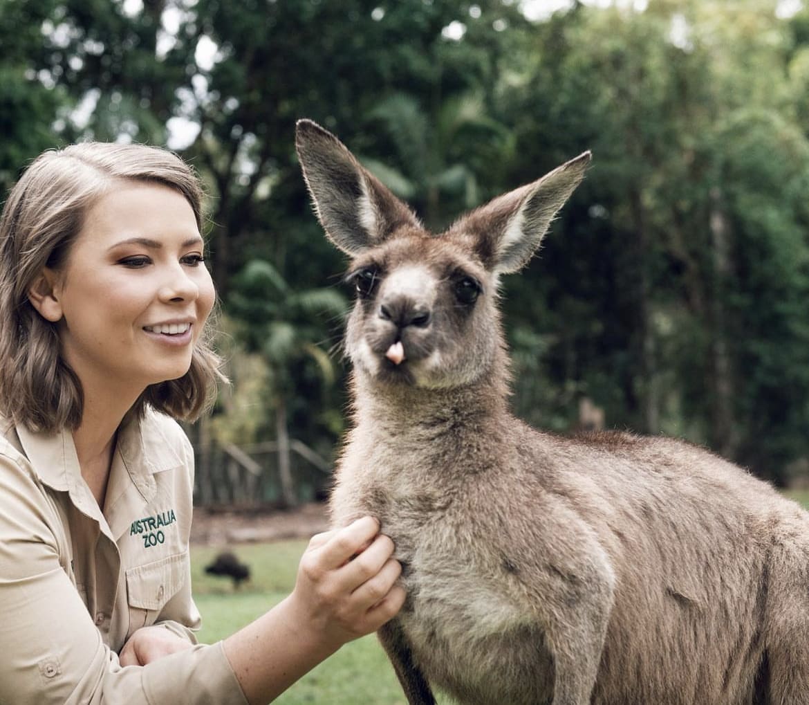 Bindi Irwin with a kangaroo at Australia Zoo