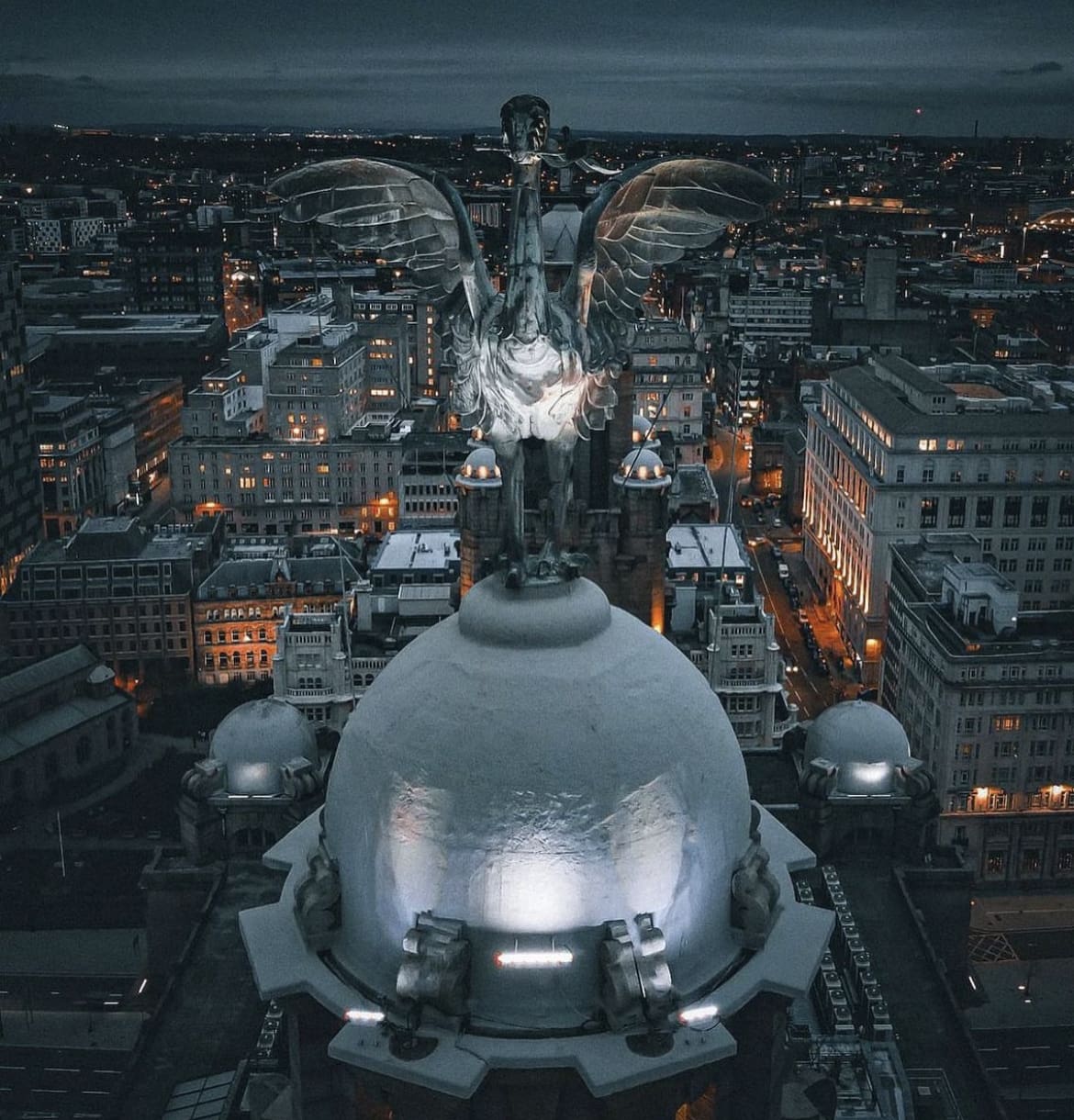 The Liver Bird