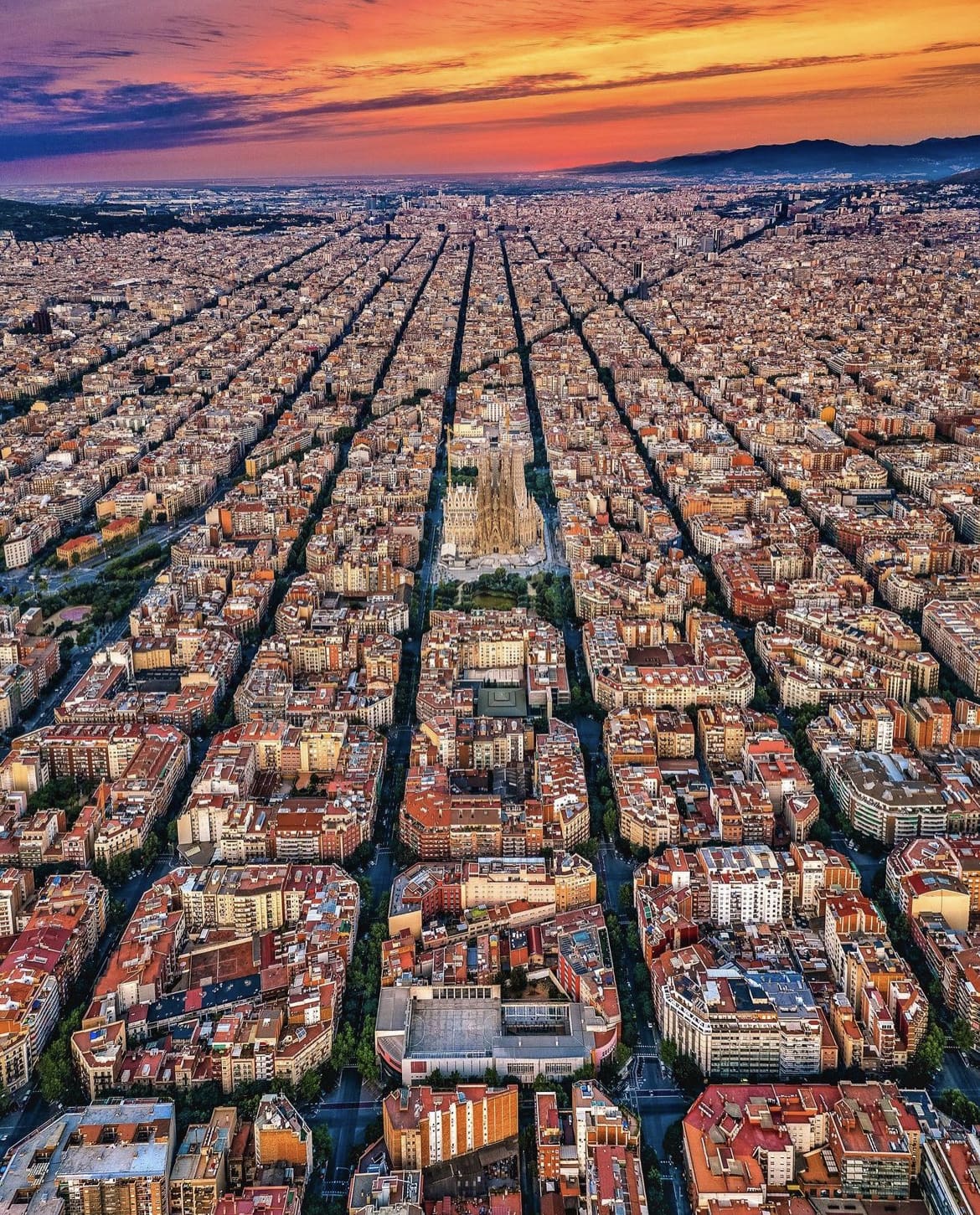 Aerial view over Barcelona's perfect rows of tower blocks