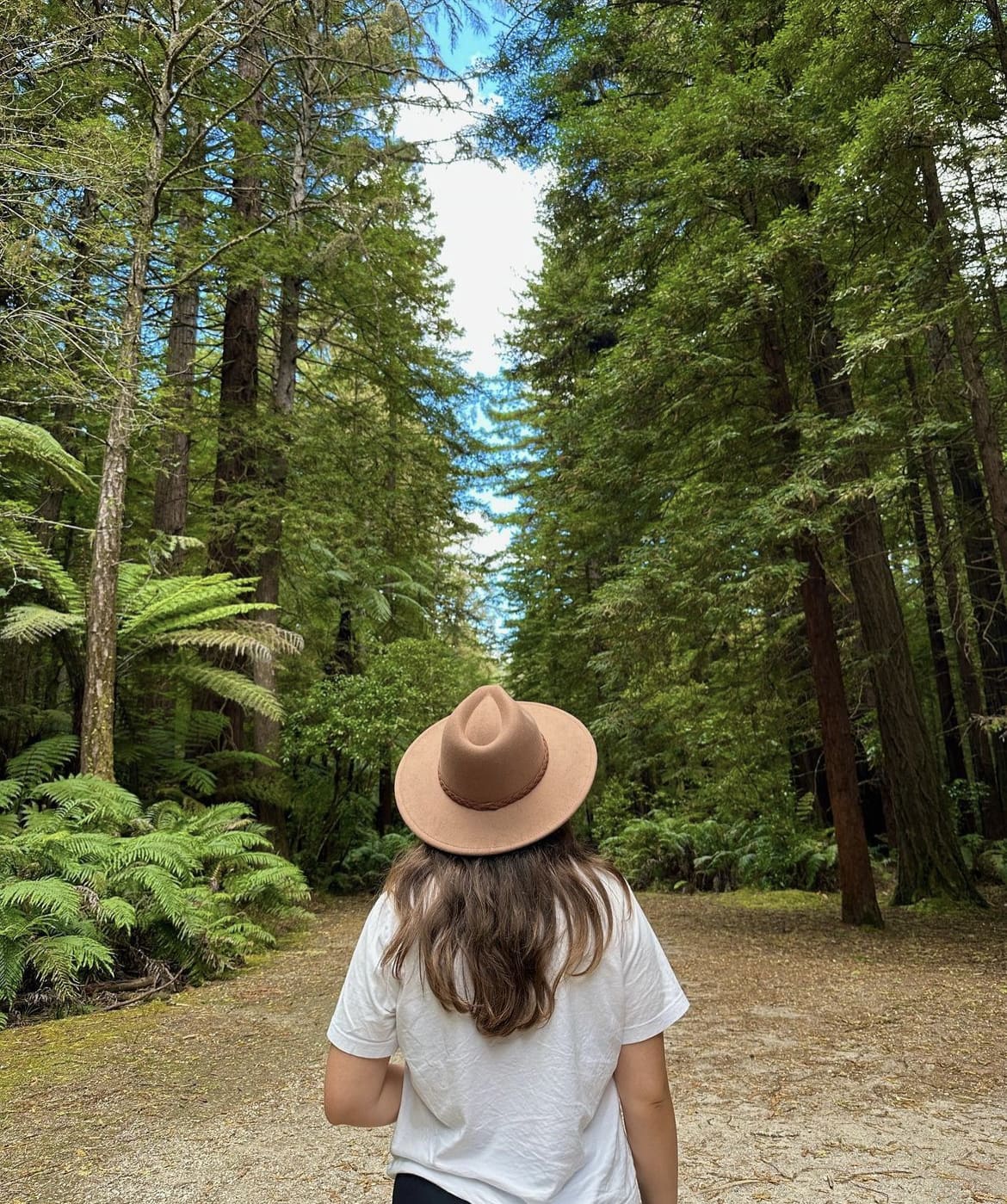 Red Woods, Rotorua, New Zealand