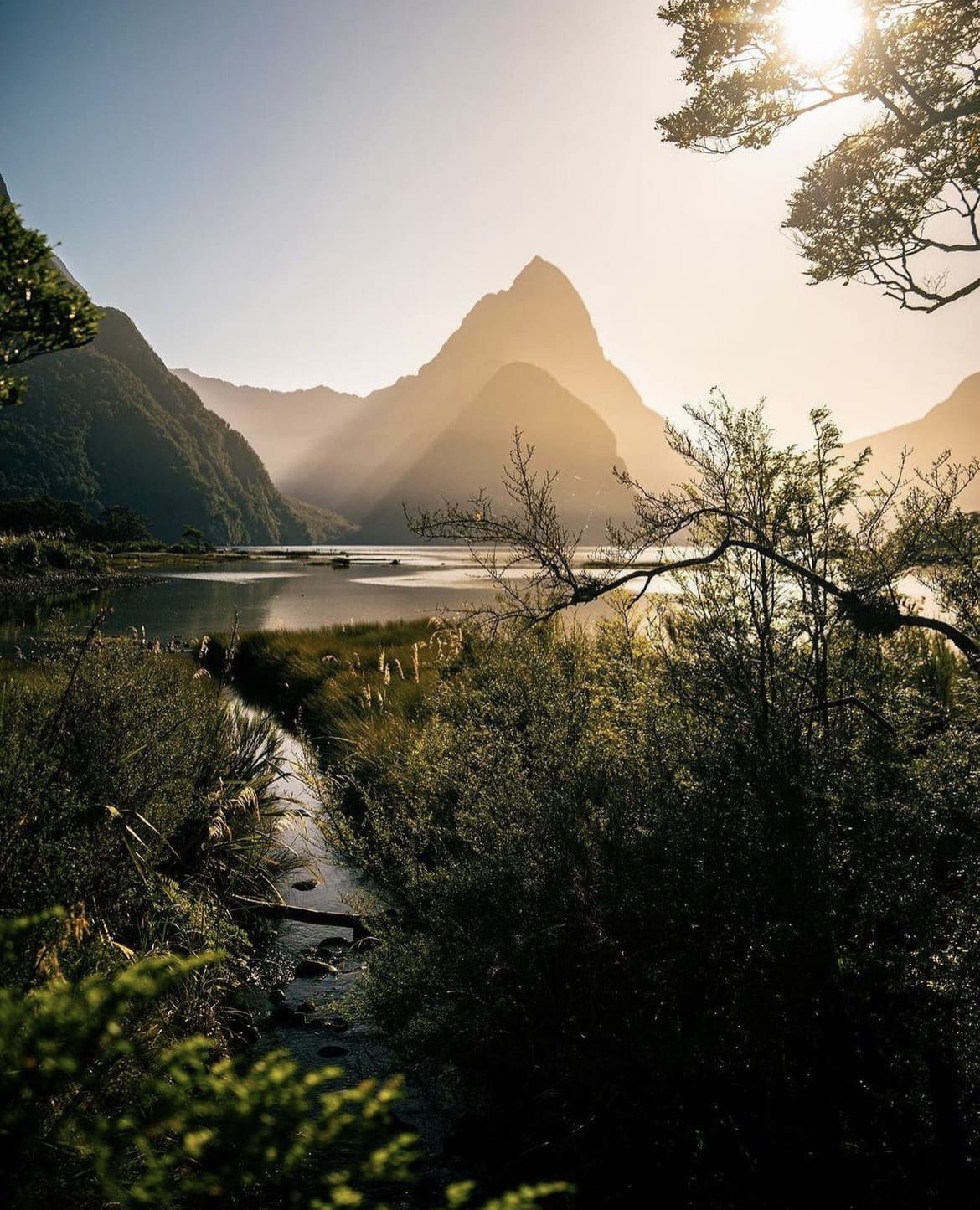 Golden Hour in Milford Sound