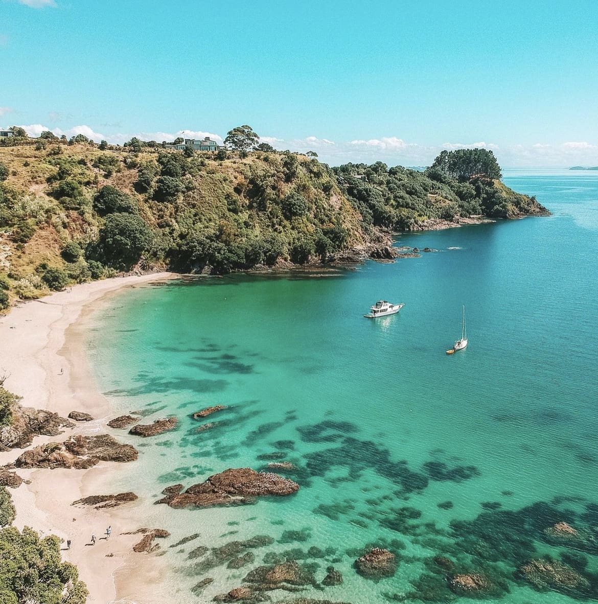 Palm Beach, Waiheke Island