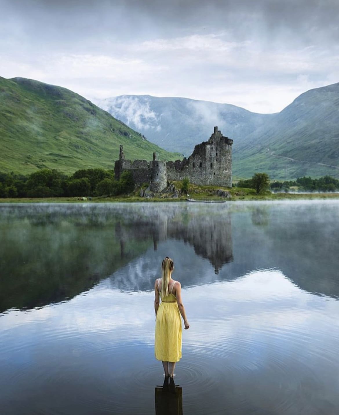 Scottish Highland