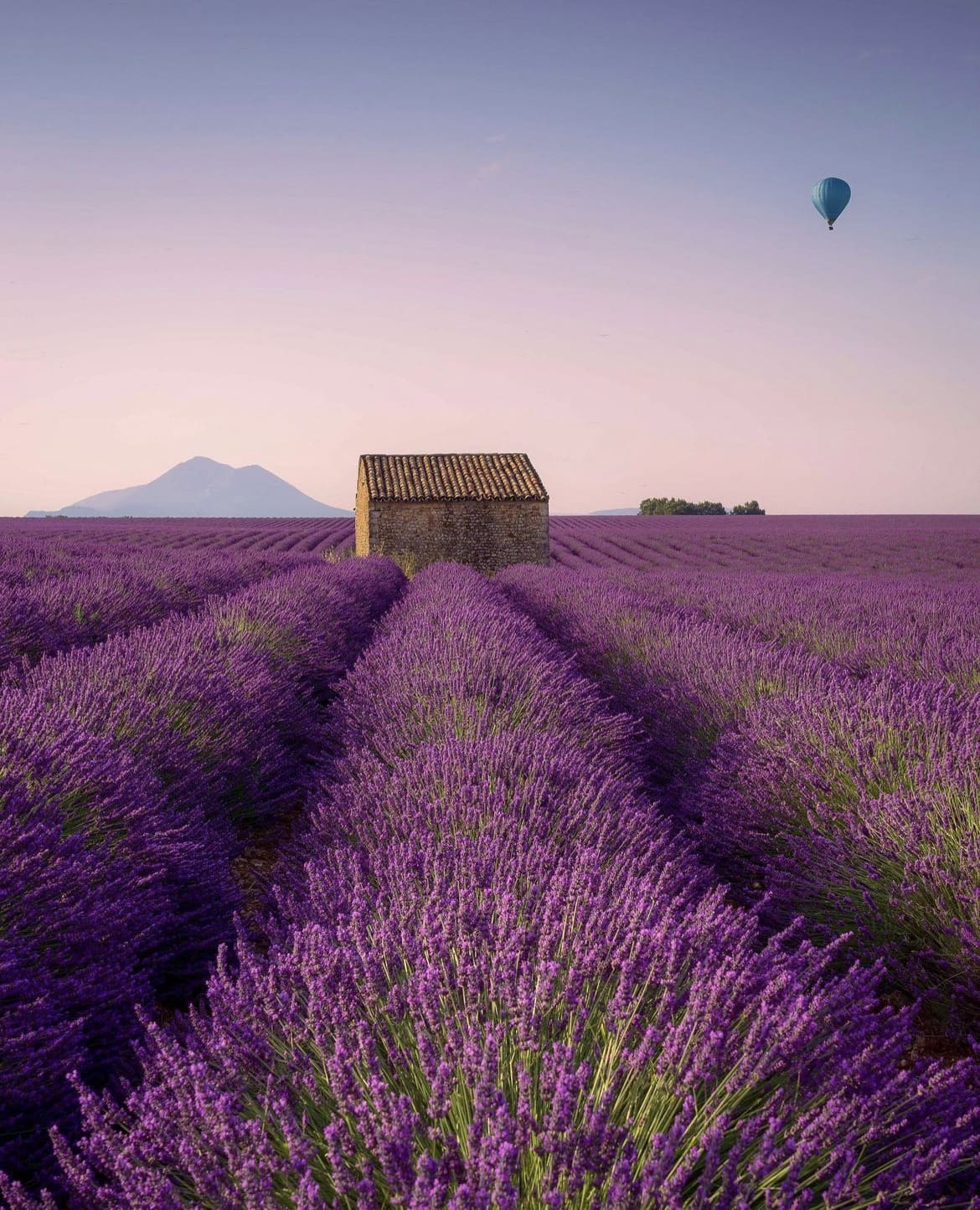 Lavender fields, Provence - Exploring the French Countryside: 10 Must-Visit Destinations