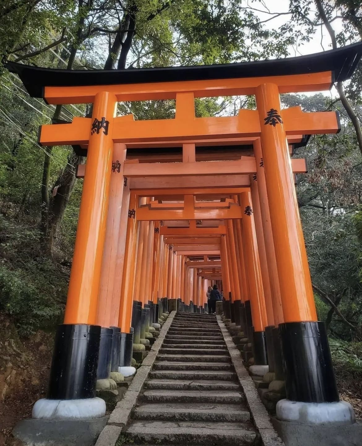 Fushimi Inari Shrine, Kyoto