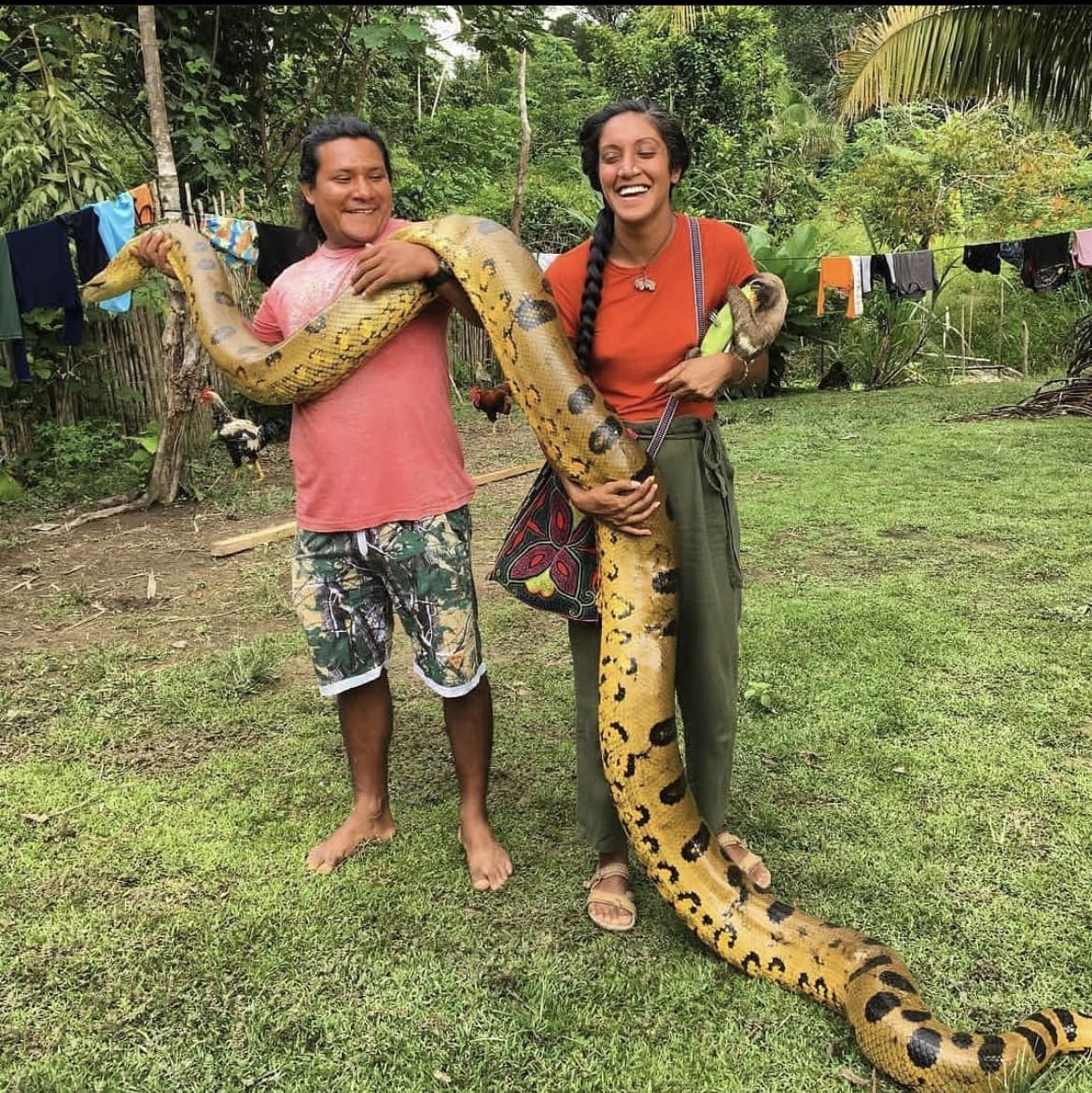 Huge wild Green Anaconda visits a village in the Amazon rainforest