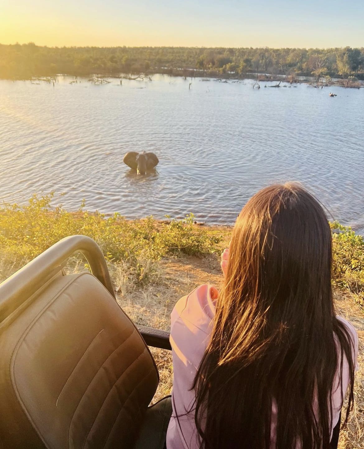 Watching an elephant swim while on safari in Kruger