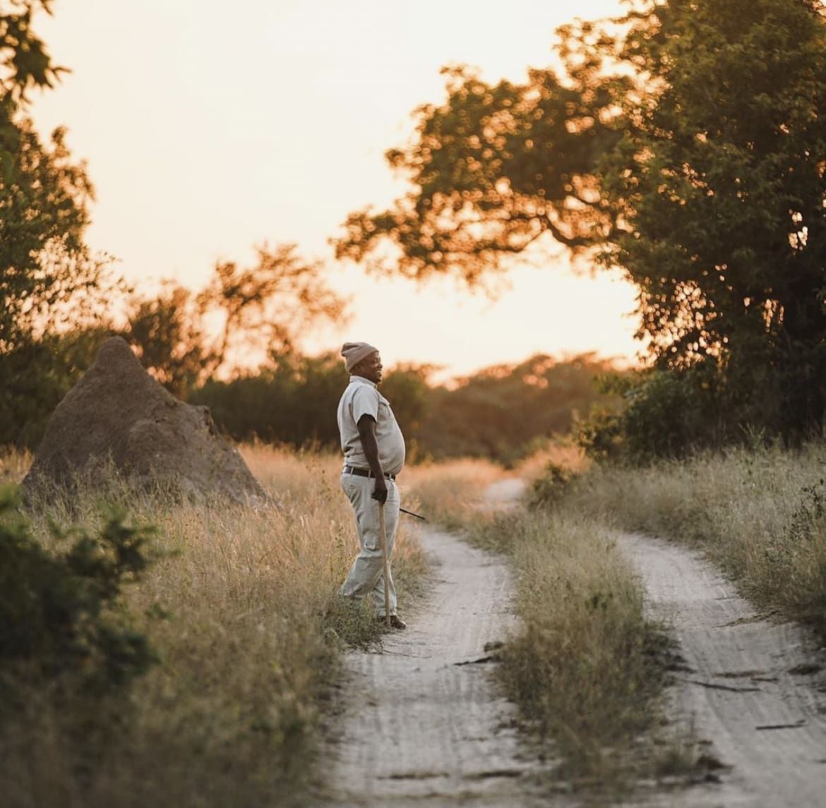 A skilled game tracker looking for clues left behind by Africa's iconic wildlife