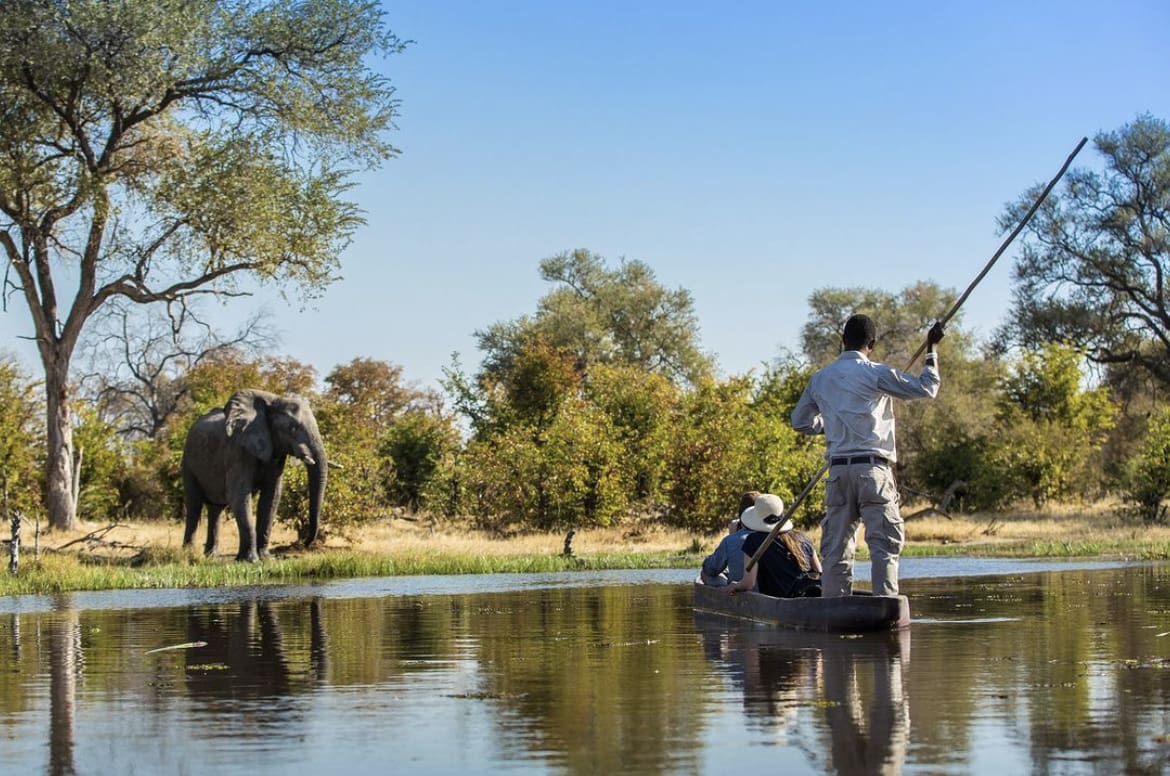Guided Mokoro Tour, Okavango Delta