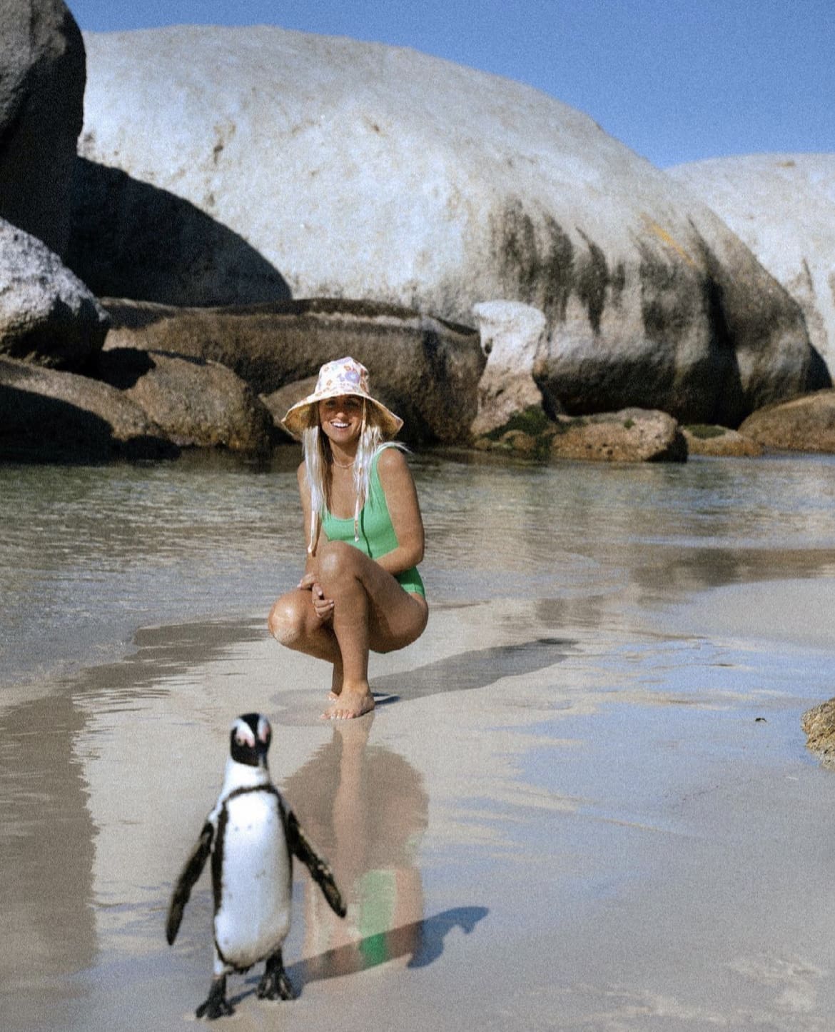 A unique encounter at Boulder's Beach
