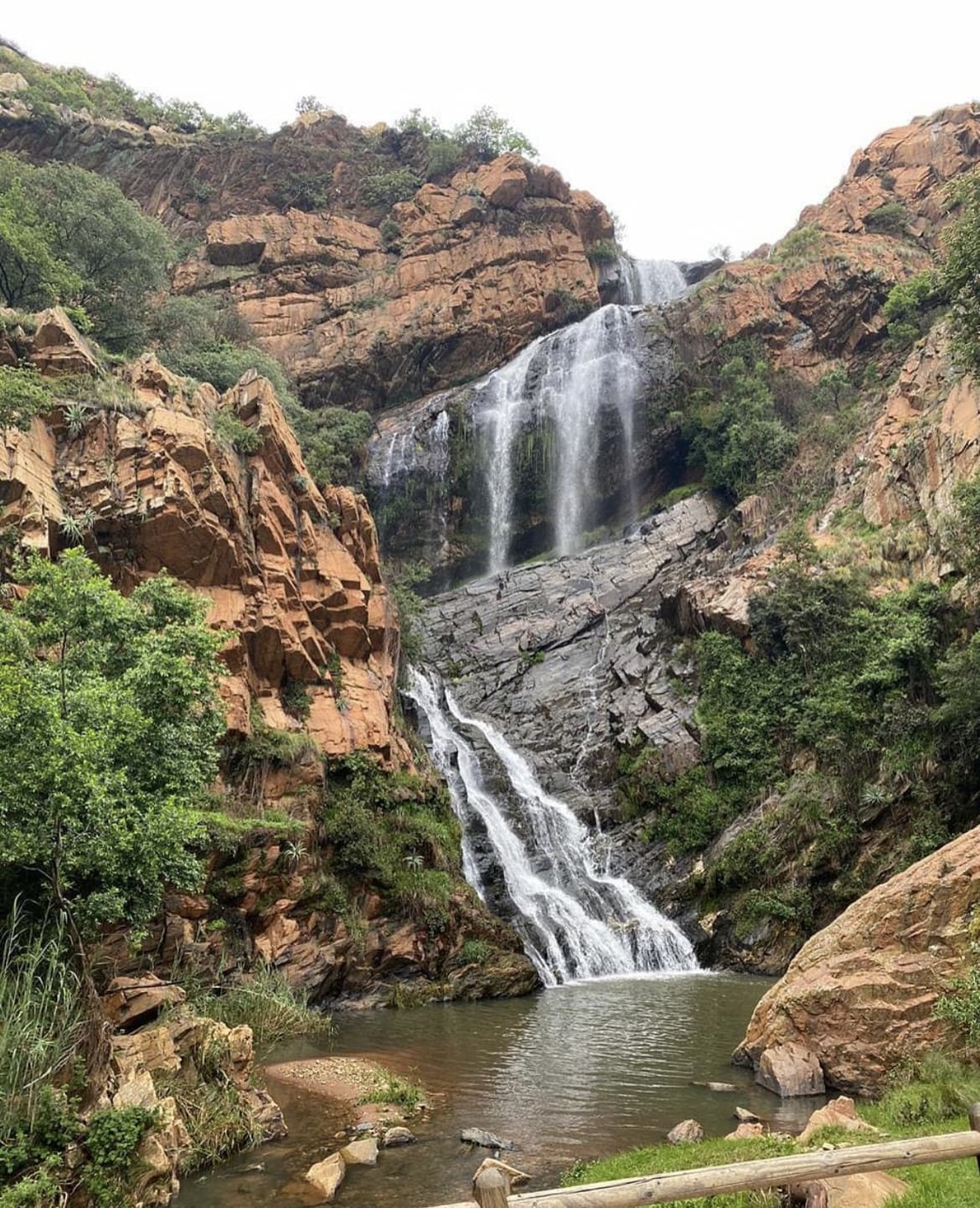 Walter Sisulu National Botanical Garden - The 10 Best Hikes In Johannesburg