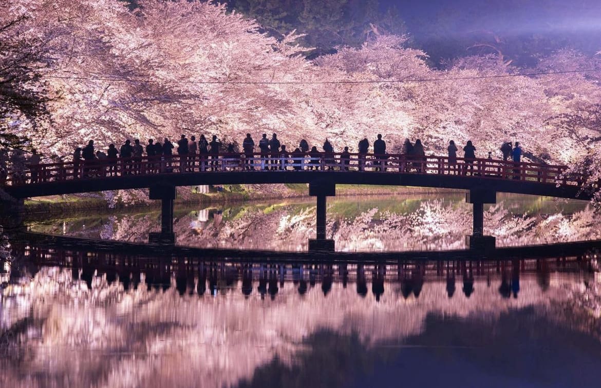 Hirosaki Park - the best time to visit Japan