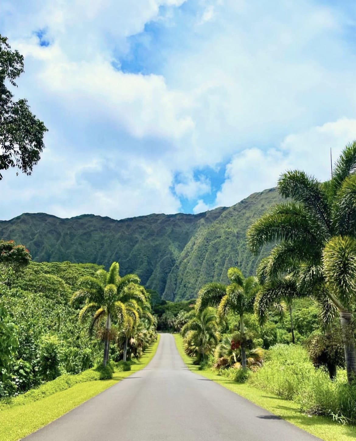 Hoomaluhia Botanical Garden - The best time to visit Hawaii