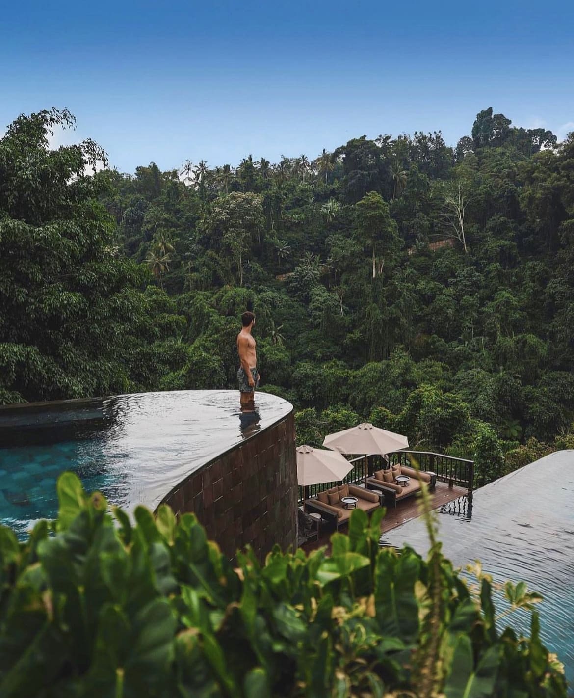 Hanging gardens