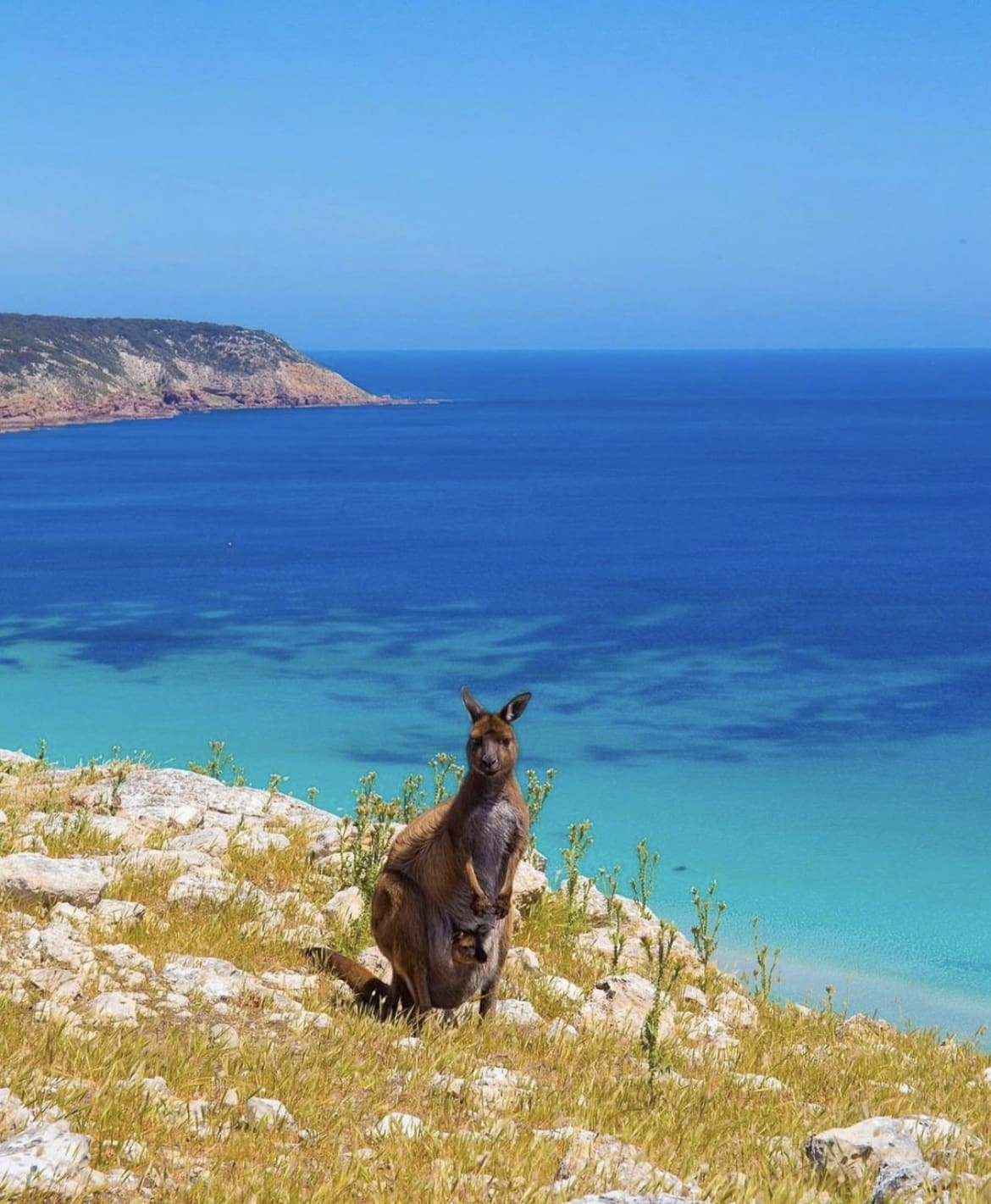 Kangaroo Island