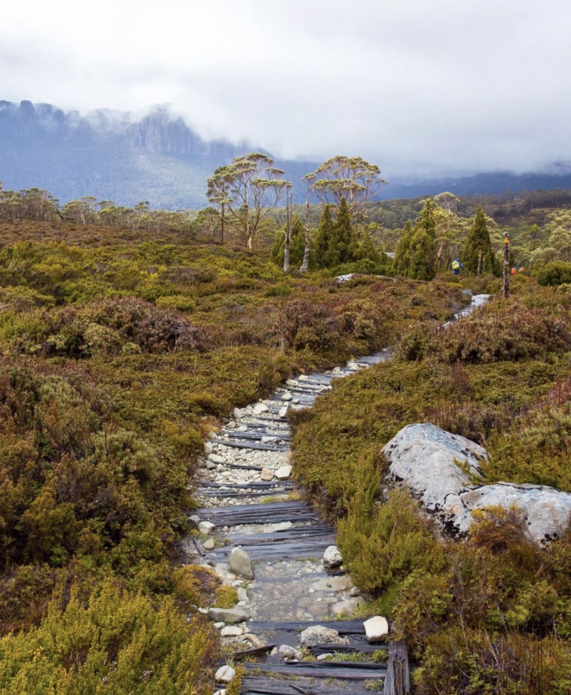 Overland Track - 15 Best Things To Do In Tasmania