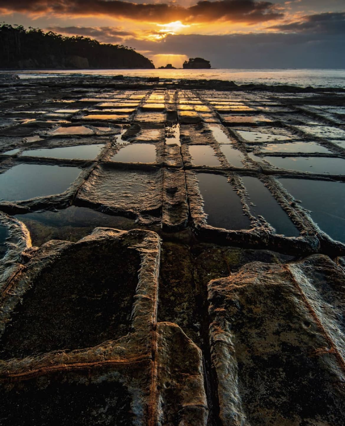 Tessellated pavement, Eaglehawk Neck - 15 Best Things To Do In Tasmania