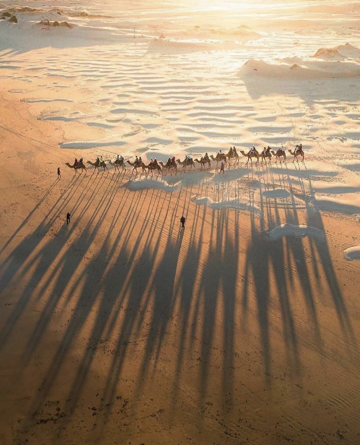 Camel ride along the dunes in Port Stephens - Australian Weather and Climate