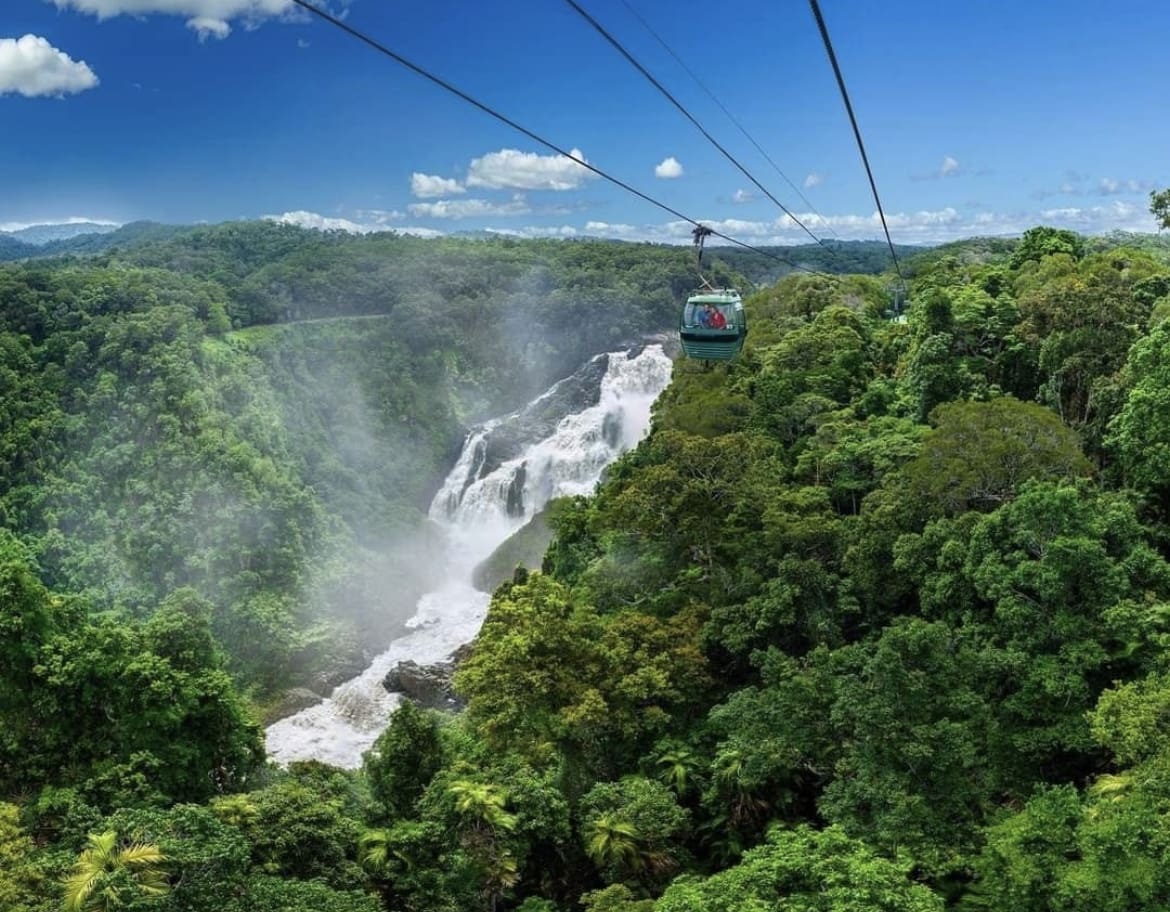 Skyrail Rainforest Cableway