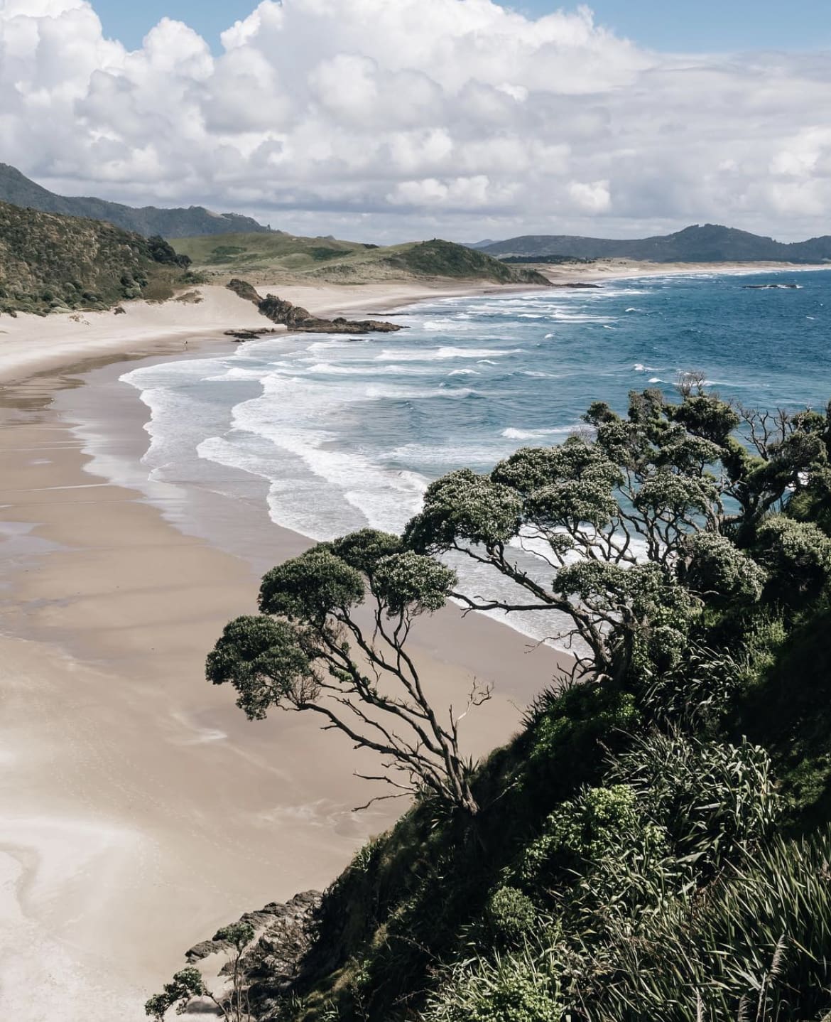 Whangerei Heads, New Zealand - Best Road Trips In New Zealand