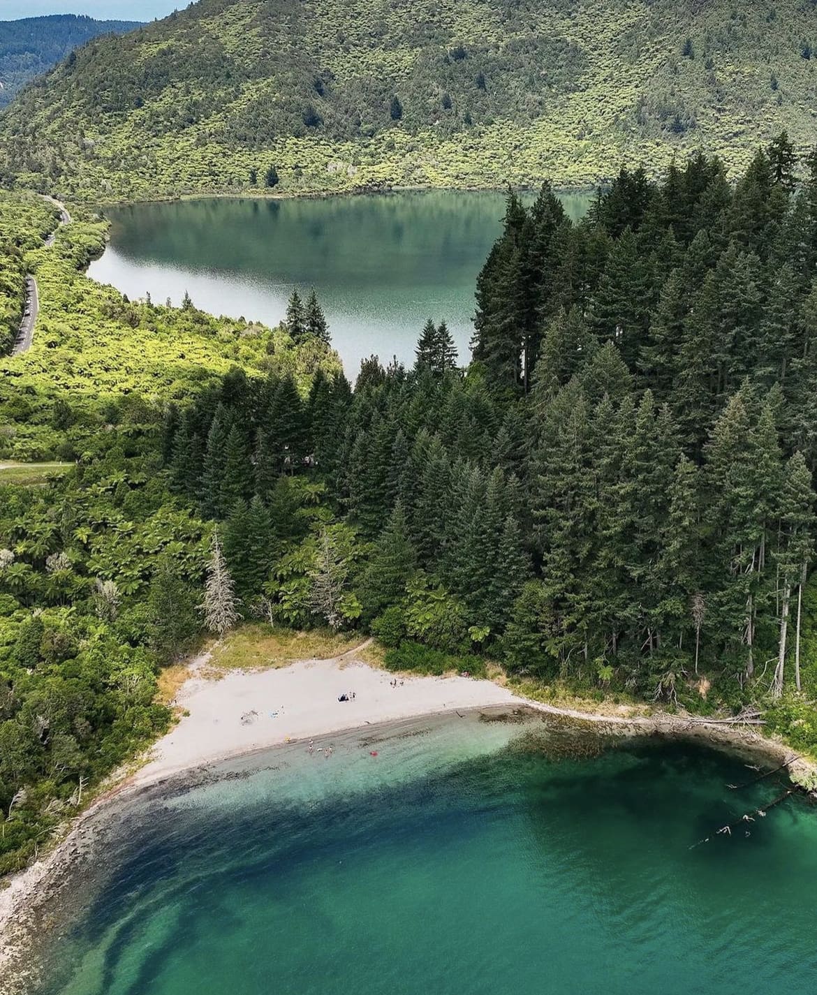 Lake Tikitapu (Blue Lake)