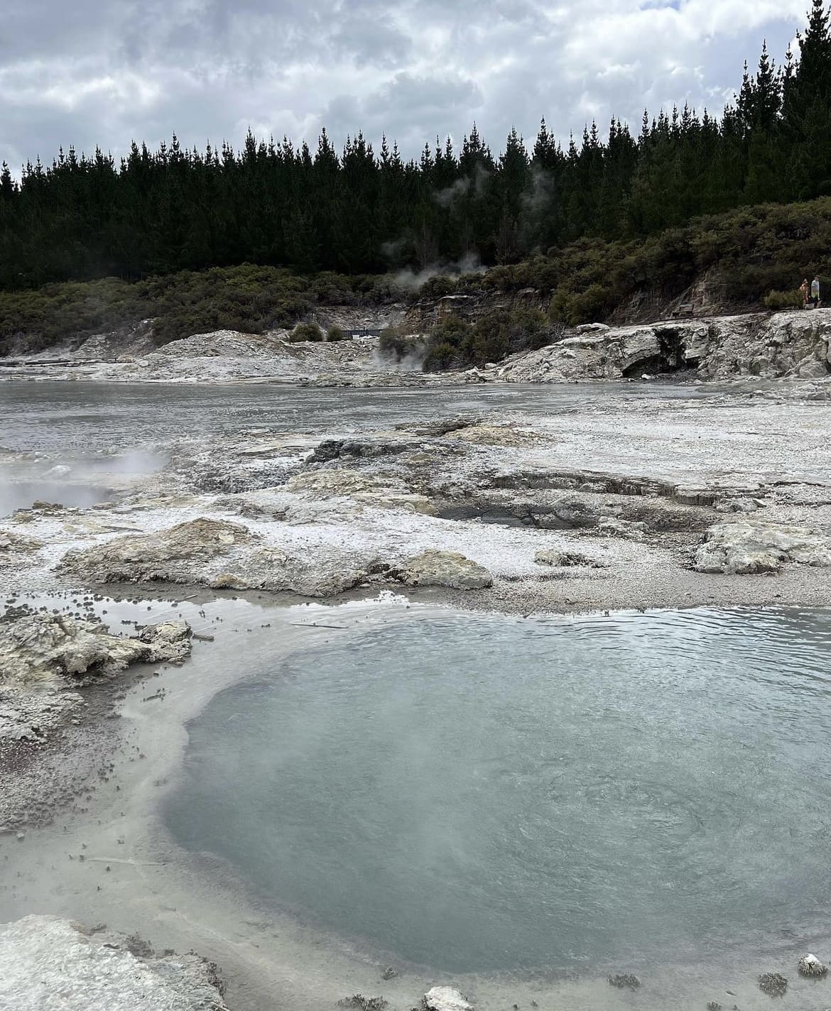 Hell's Gate, Rotorua