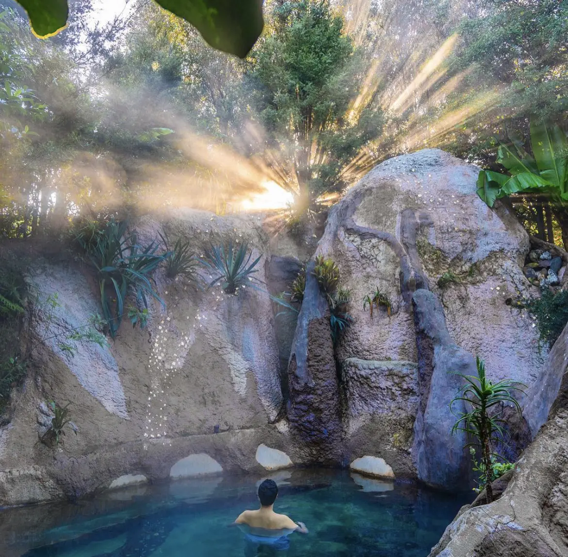 The Lost Spring, Whitianga