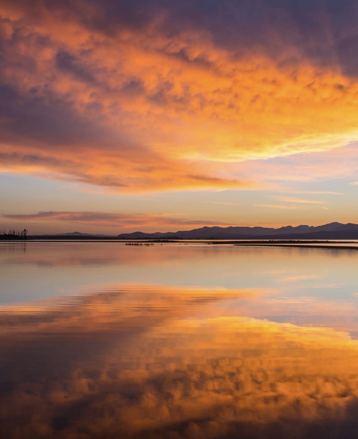 Lake Yellowstone