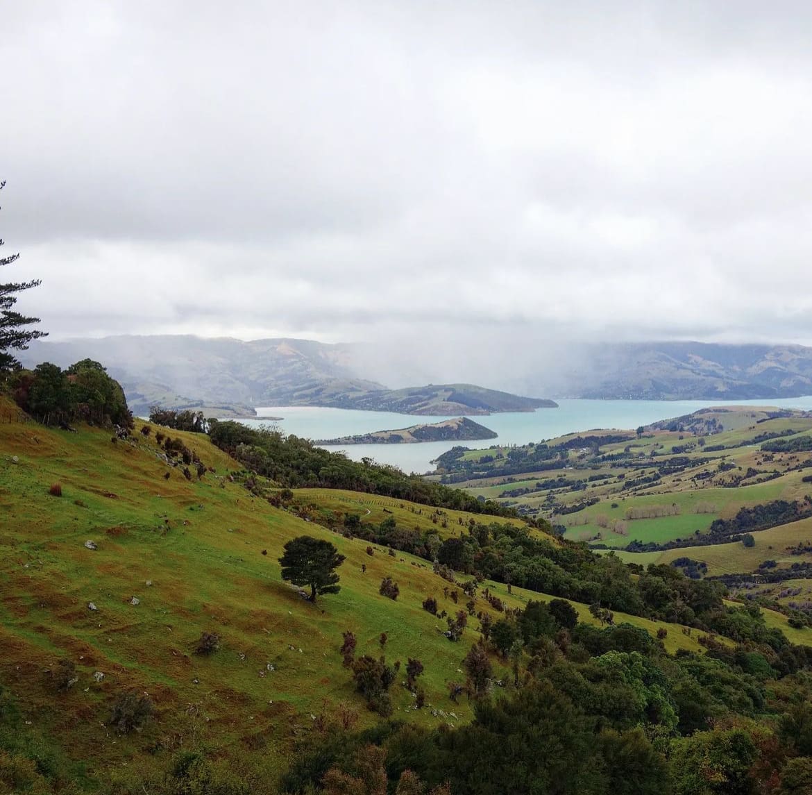 Banks Peninsula, New Zealand