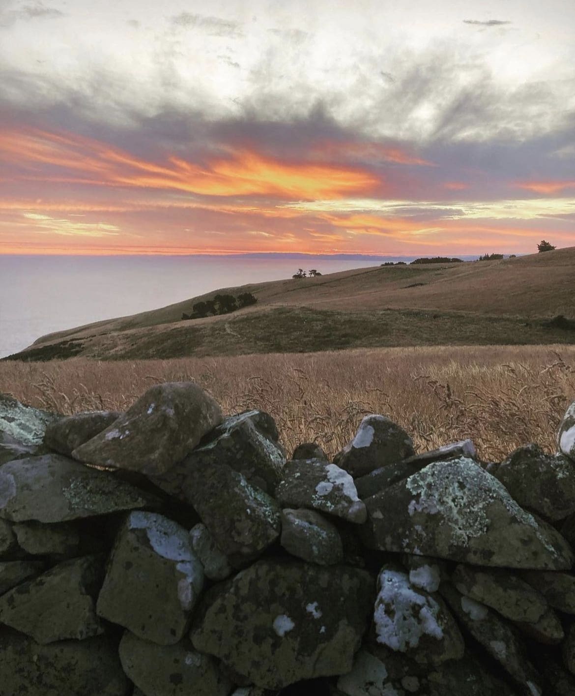 Dunedin, New Zealand