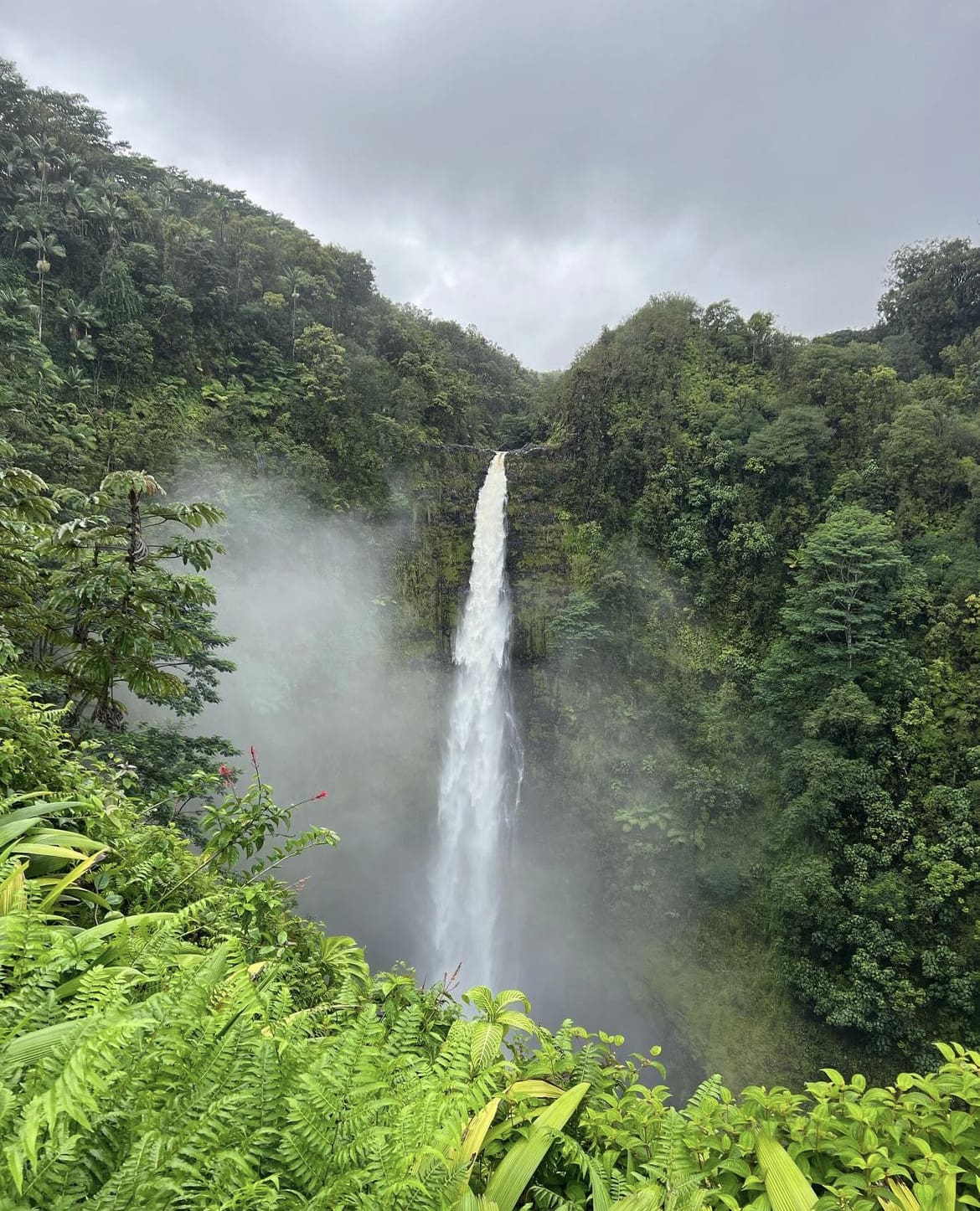 Akaka falls - Best Things To Do on Big Island, HI