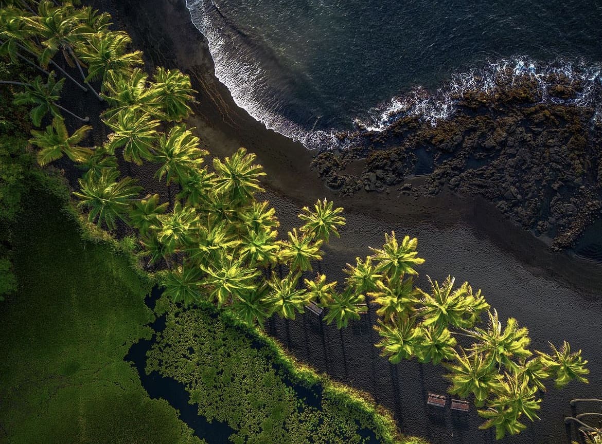 Punalu'u Black Sand Beach