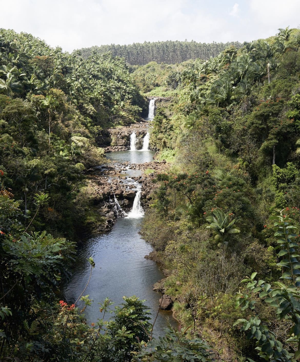 Hamakua Heritage Corridor