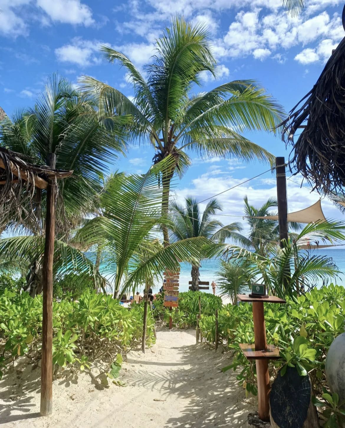 Ziggy Beach, Tulum