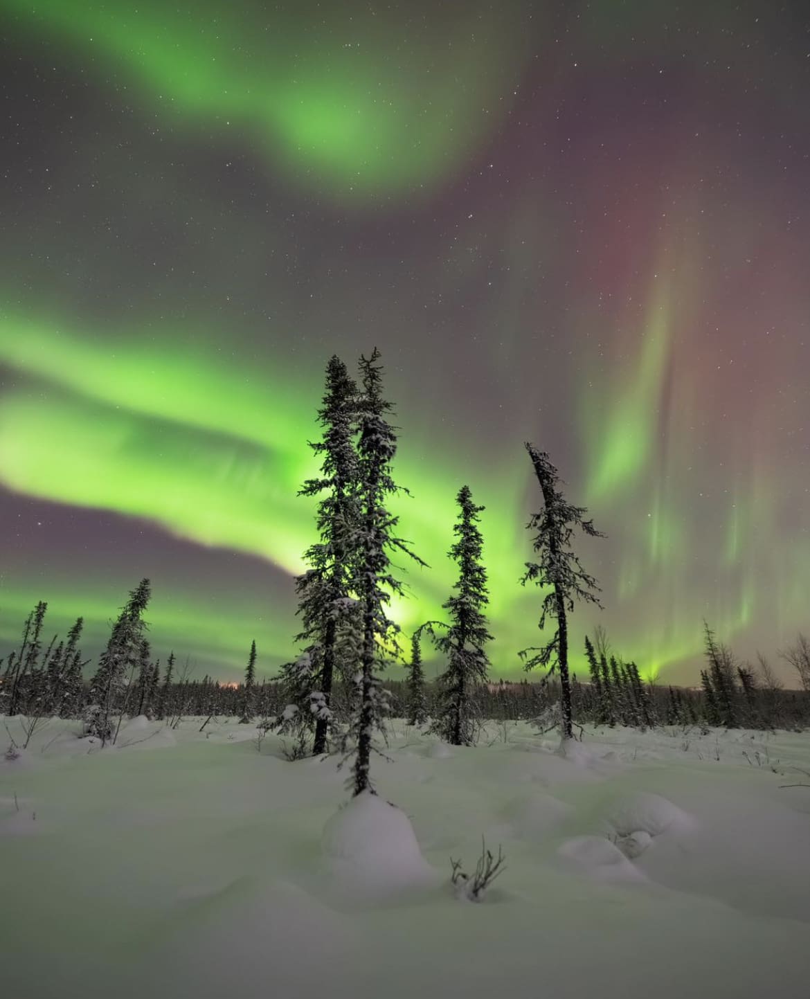 Northern Lights, Fairbanks - The 15 Best Places To Visit In Alaska
