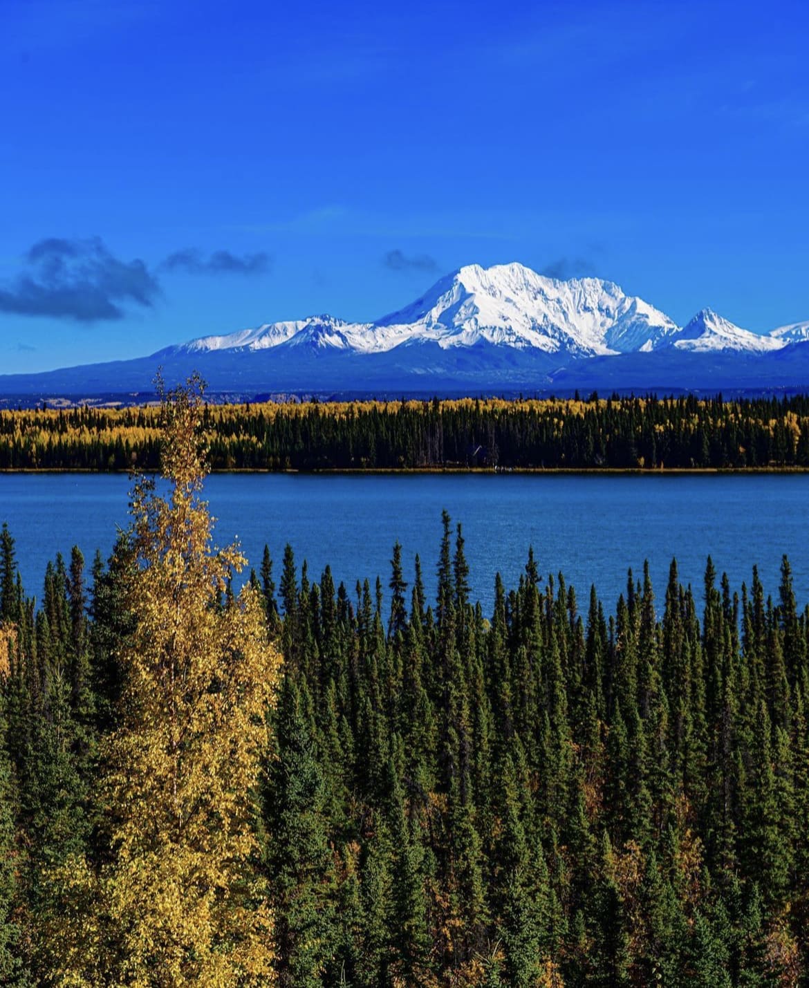 Wrangell St. Elias