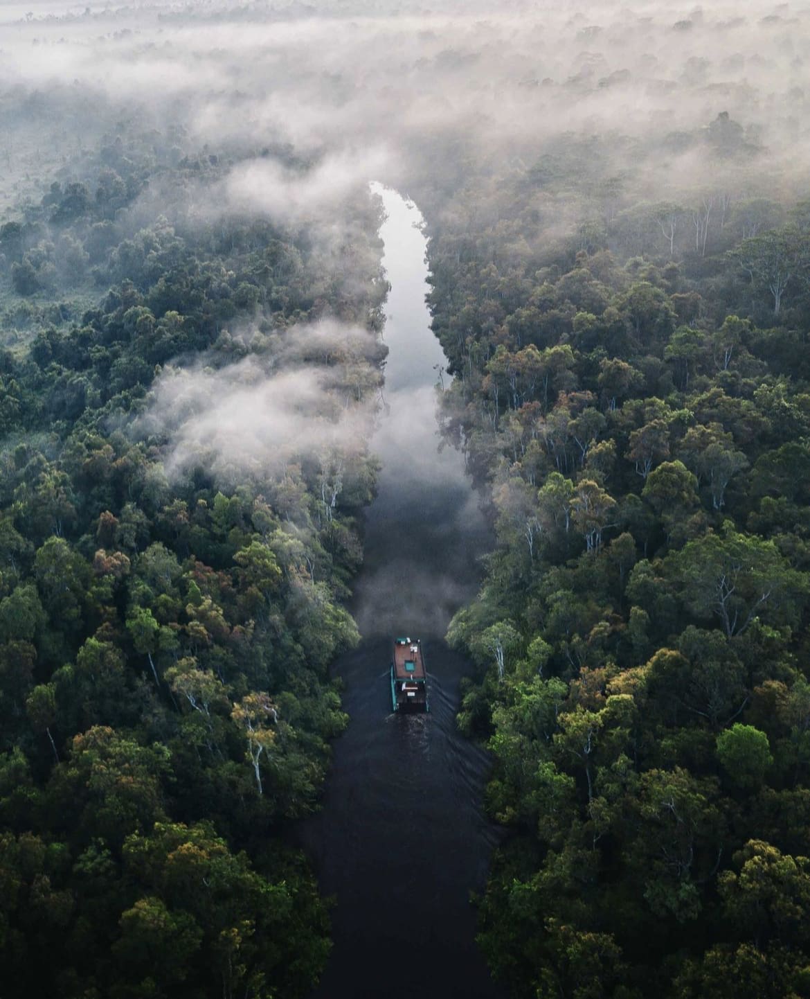 Amazon Rainforest, South America