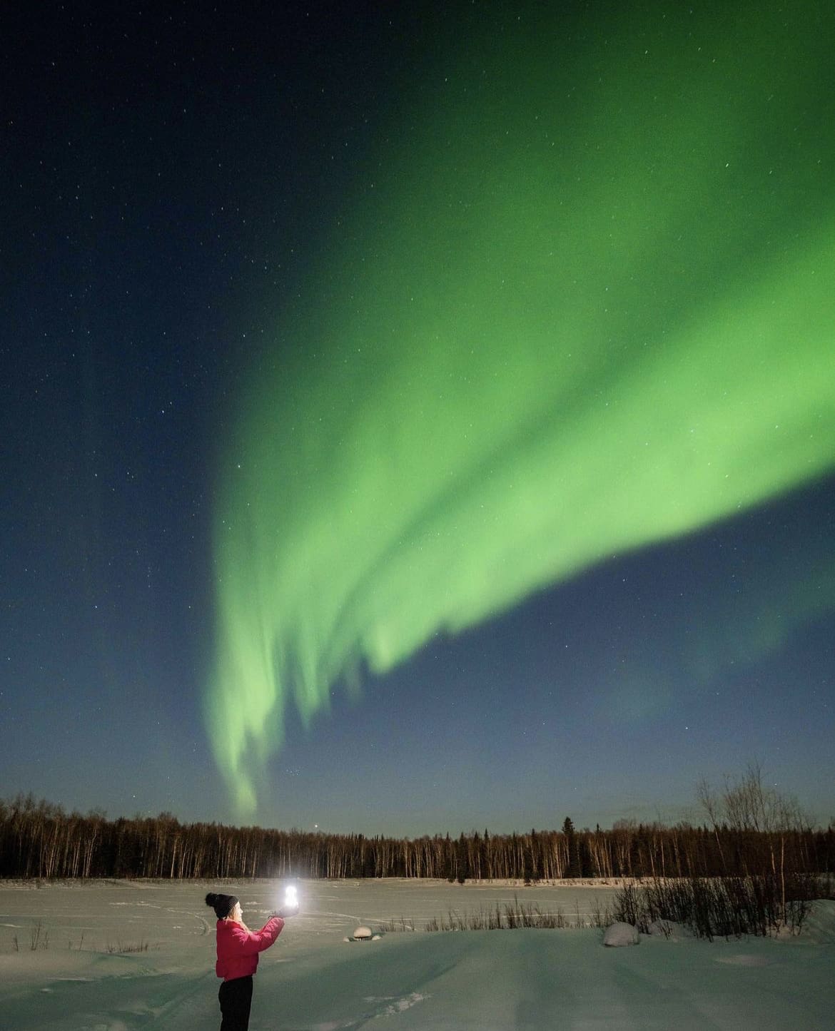 The Best Time To View The Northern Lights In Alaska Wildest
