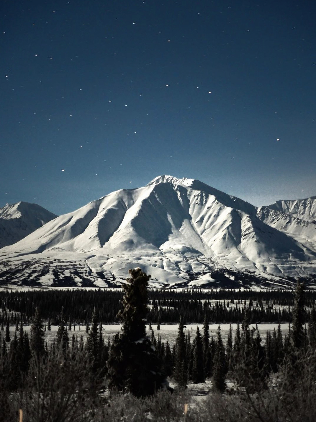 2am in Denali National Park during full moon