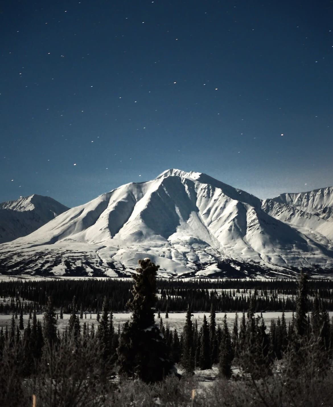 2am in Denali National Park during full moon 