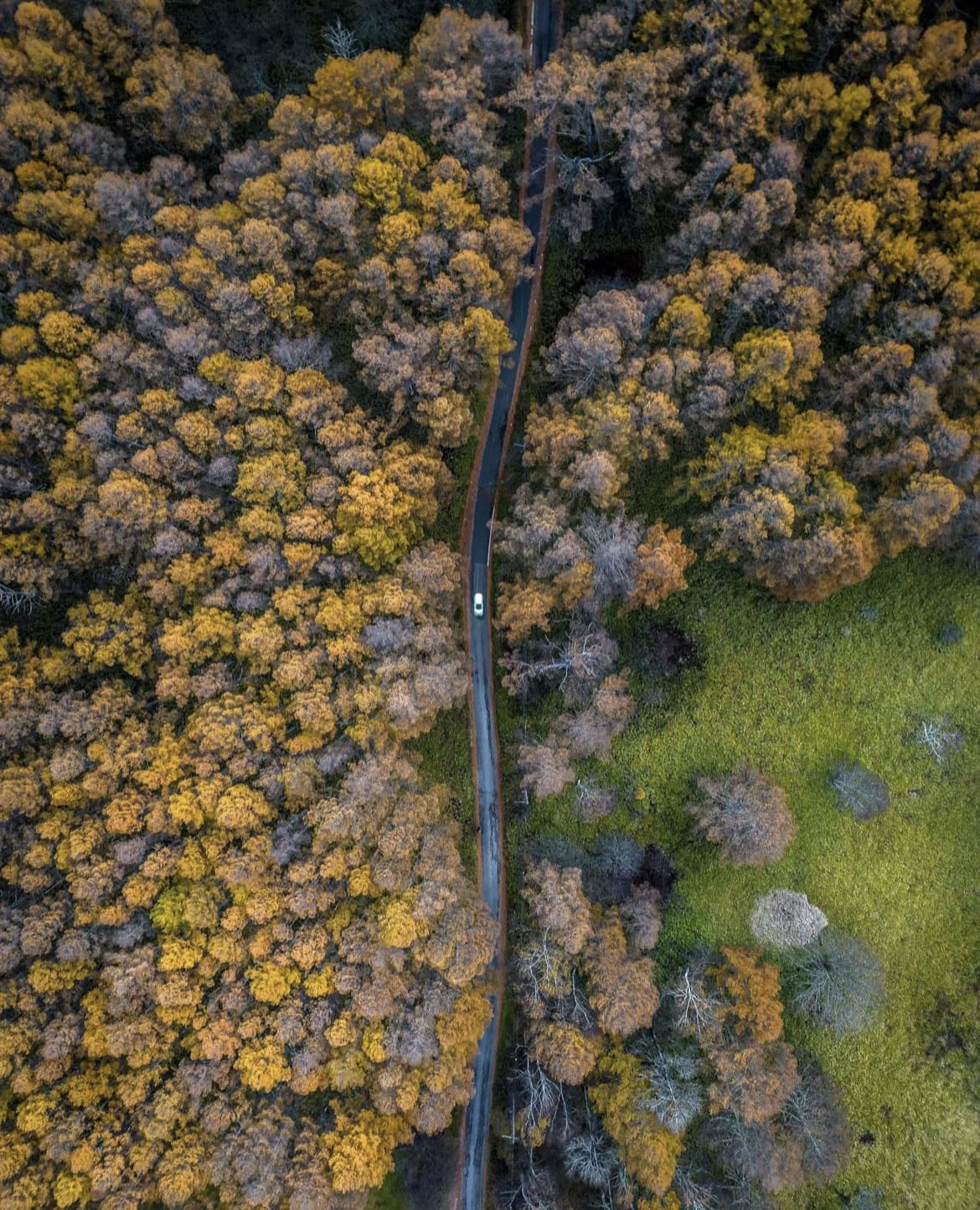 Nikko National Park