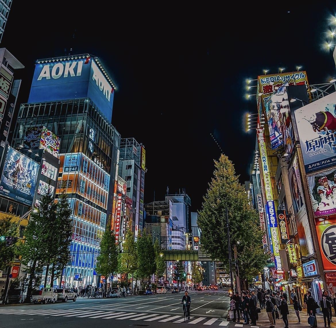 Akihabara Electric Town