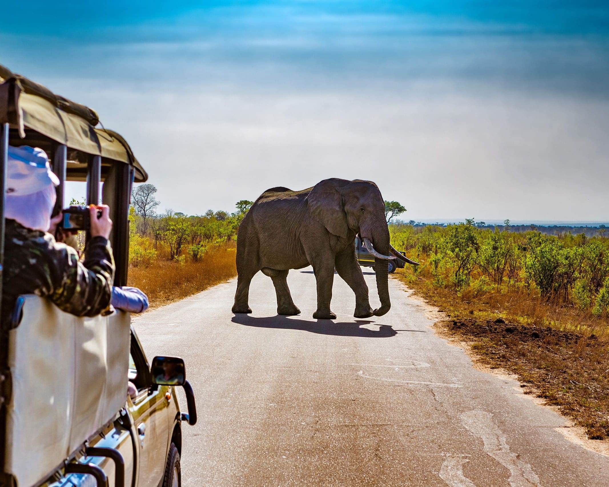 Kruger National Park, South Africa