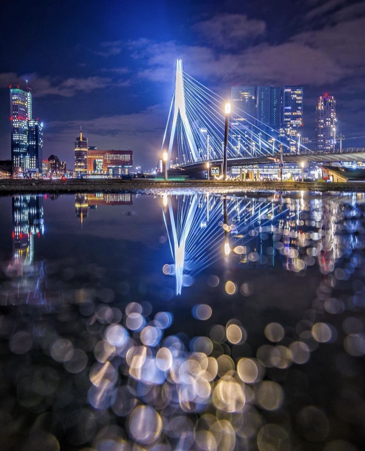 Erasmus Bridge in the Netherlands